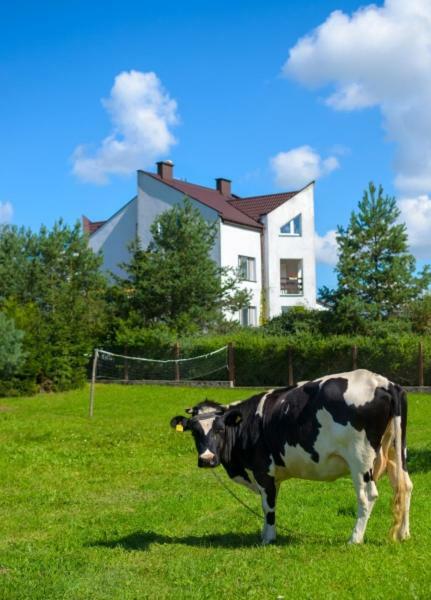 Gospodarstwo Agroturystyczne Jacwing Vila Giby Exterior foto